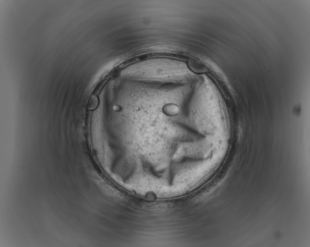 X0000090890930200708241958