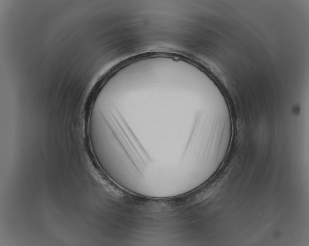 X0000090890931200708241958