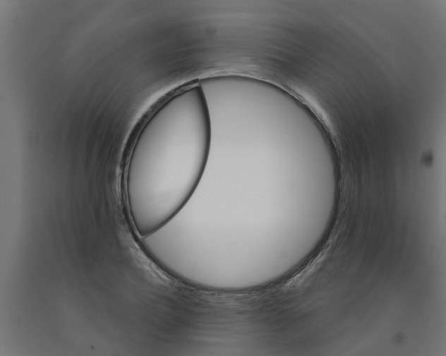 X0000090890932200708241958