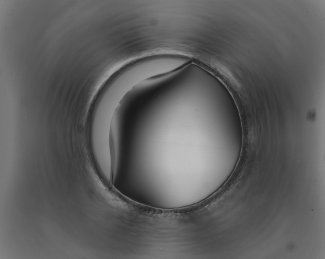 X0000090890934200708241958