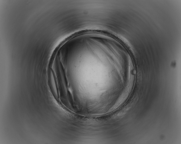 X0000090890935200708241958