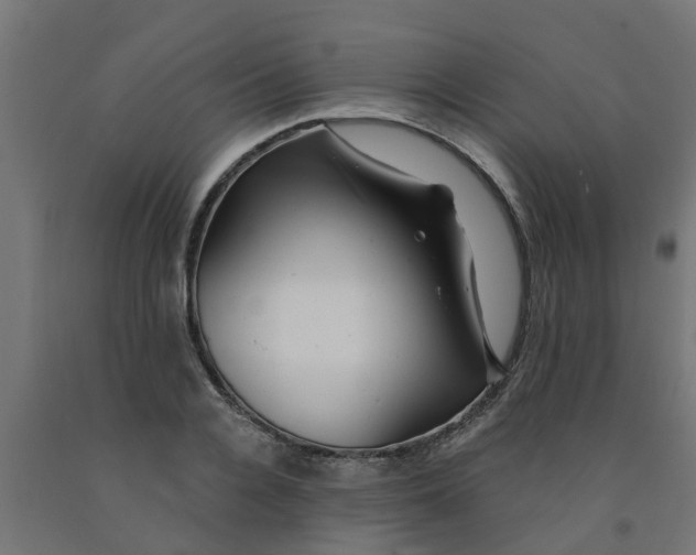 X0000090890936200708241958