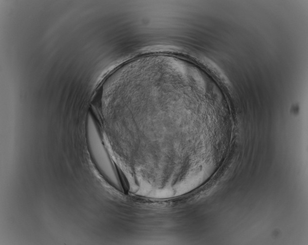 X0000090890937200708241958