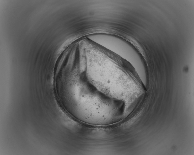 X0000090890938200708241958