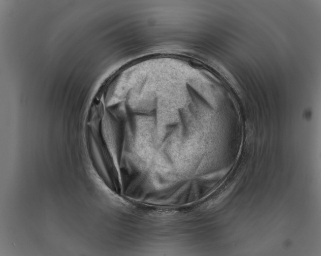 X0000090890939200708241958