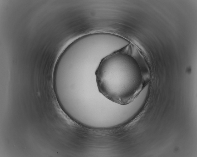 X0000090890940200708241959