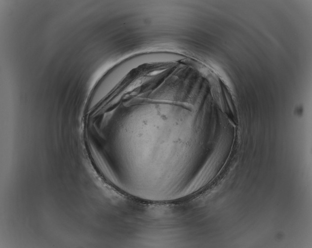 X0000090890944200708241959