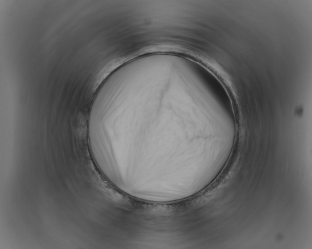 X0000090890945200708241959