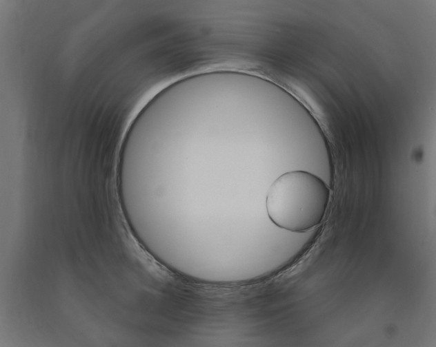 X0000090890948200708241959