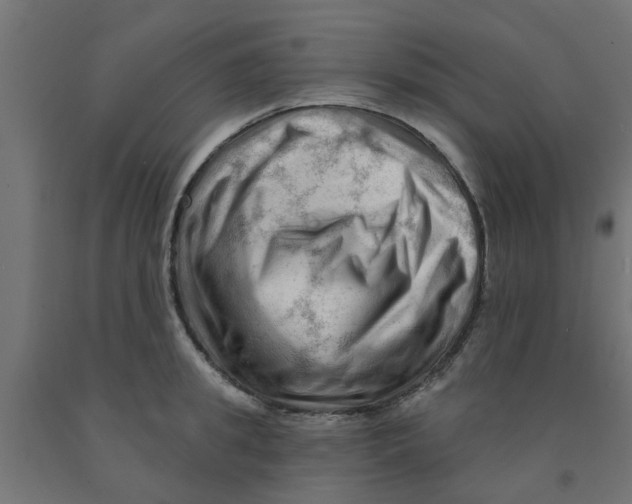 X0000090890949200708241959