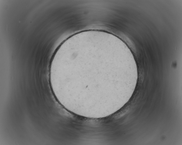 X0000090890950200708241959