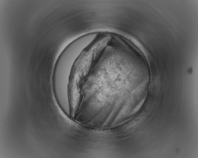 X0000090890951200708241959