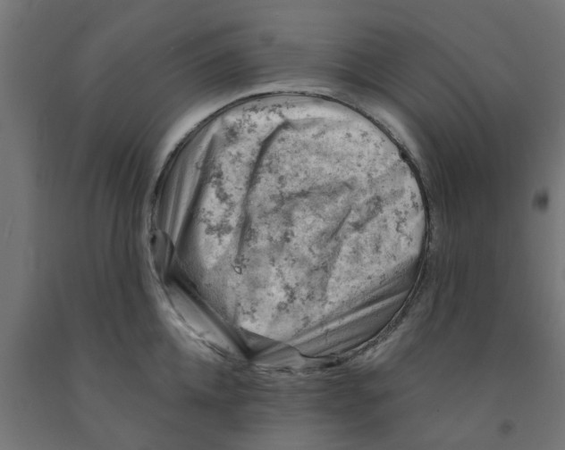 X0000090890952200708241959