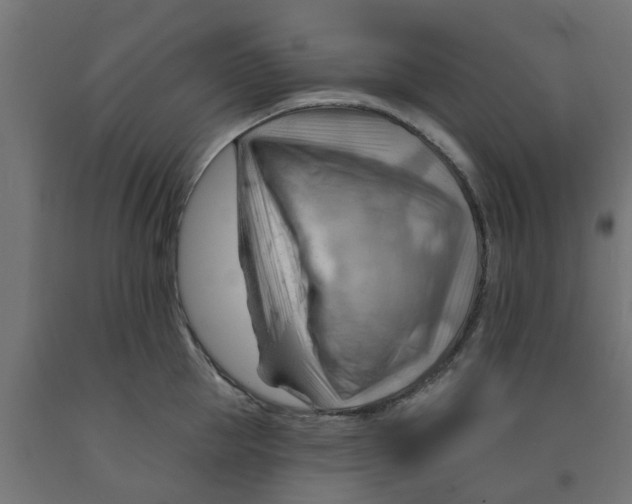 X0000090890953200708241959