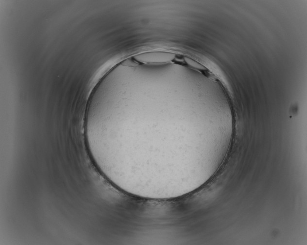 X0000090890954200708241959