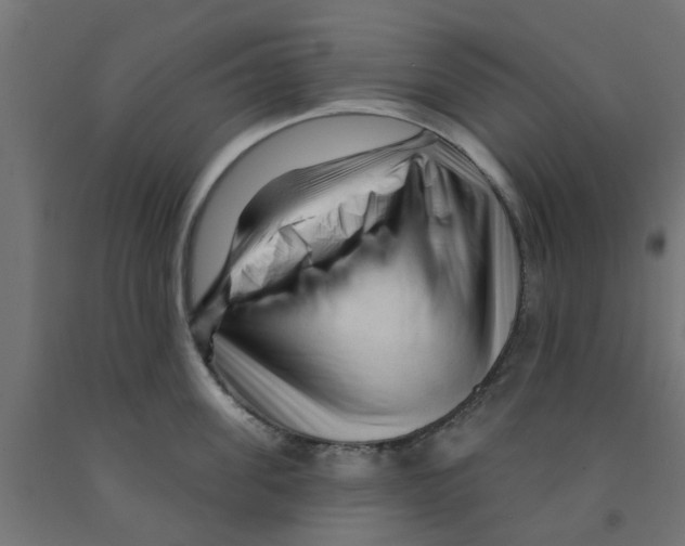 X0000090890955200708241959