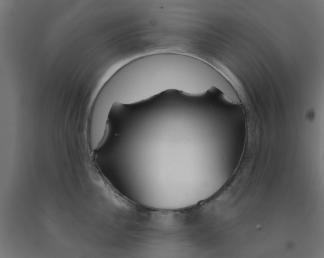 X0000090890956200708241959