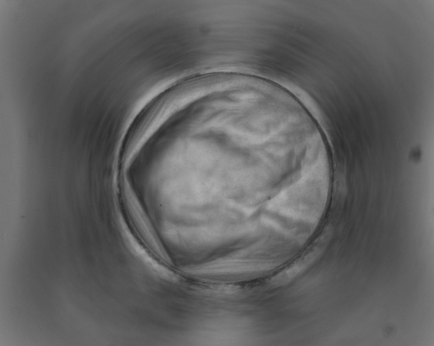 X0000090890957200708241959