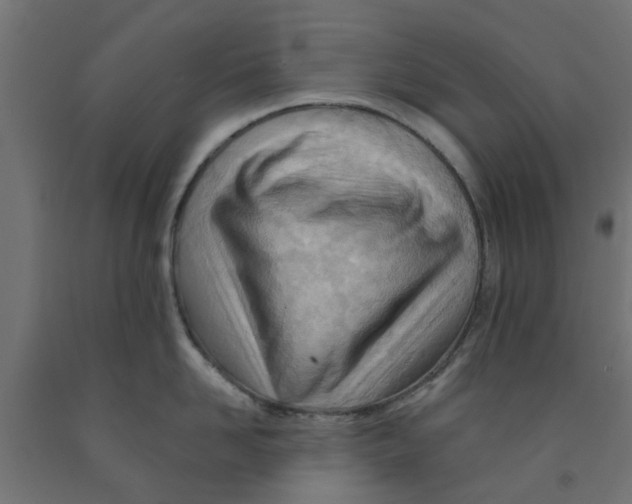 X0000090890958200708241959