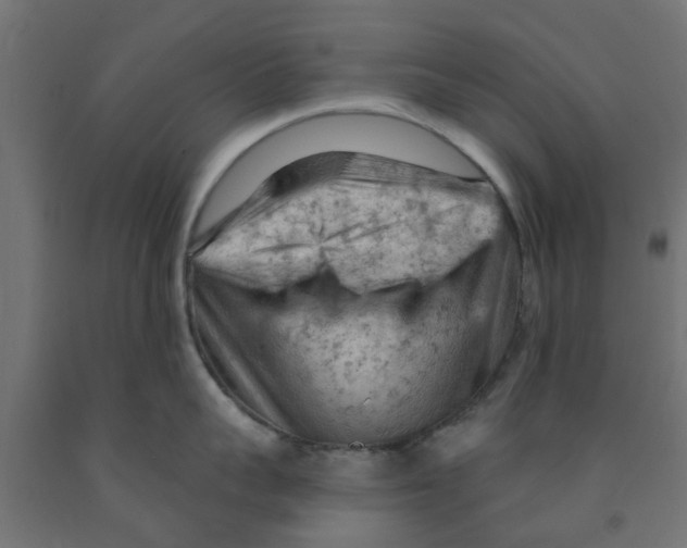 X0000090890959200708241959