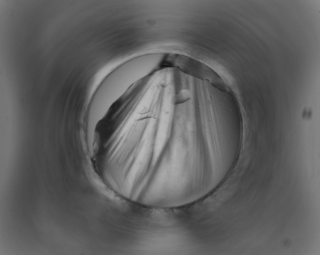 X0000090890960200708241959