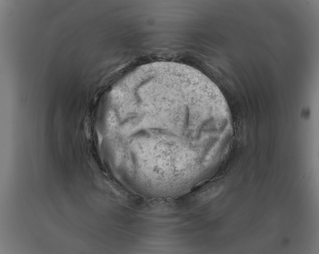 X0000090890962200708241958