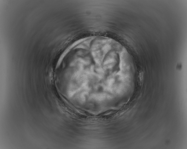 X0000090890963200708241958