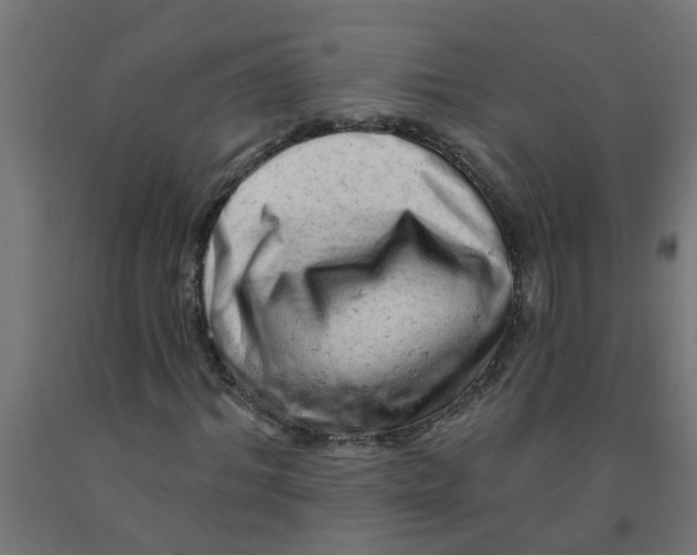 X0000090890964200708241958