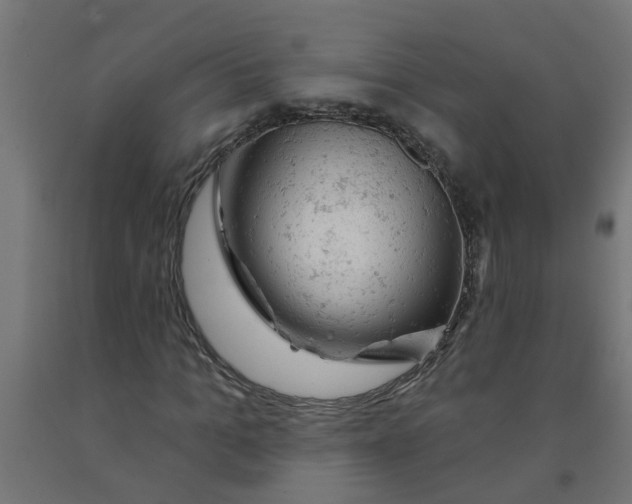 X0000090890965200708241958