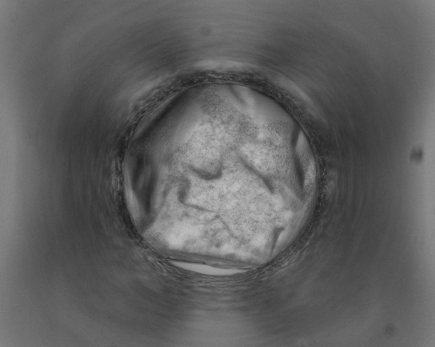 X0000090890966200708241958