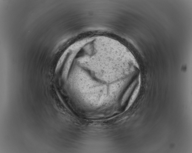 X0000090890967200708241958