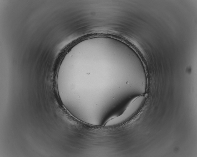 X0000090890971200708241958