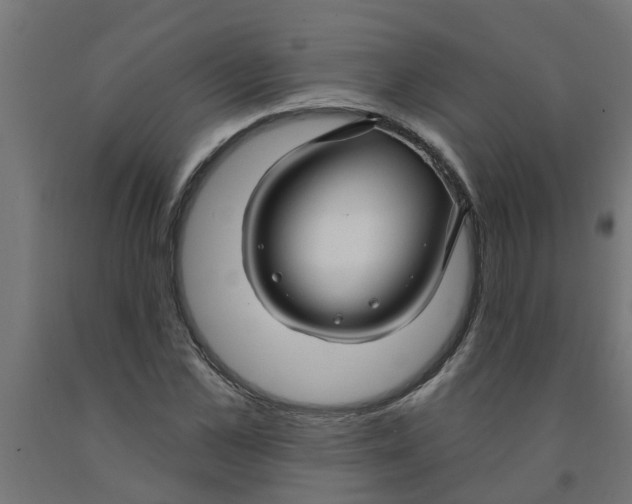 X0000090890973200708241958