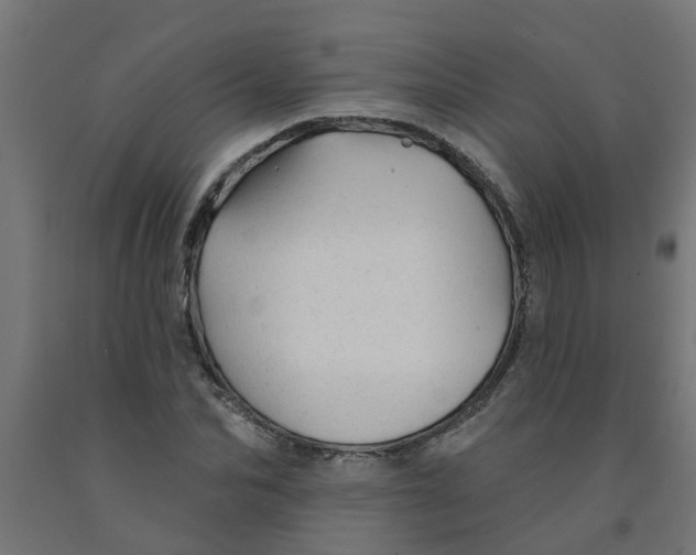 X0000090890974200708241958