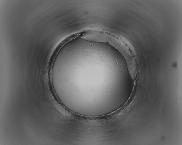 X0000090890976200708241958