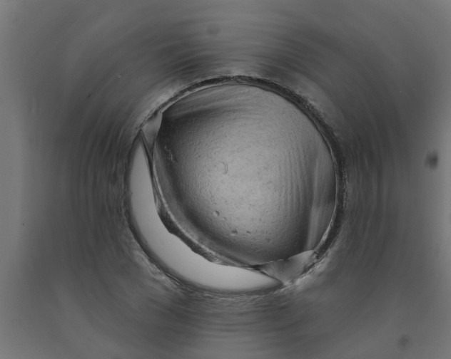 X0000090890977200708241958