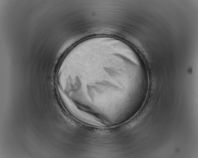 X0000090890978200708241958