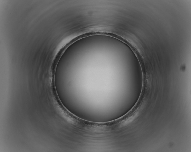 X0000090890981200708241958