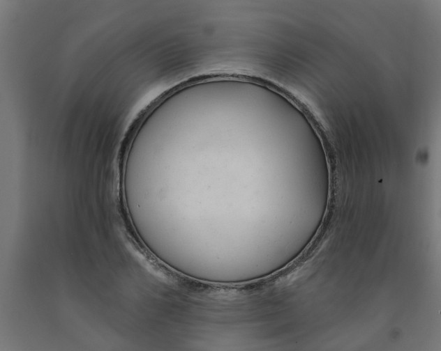 X0000090890982200708241958