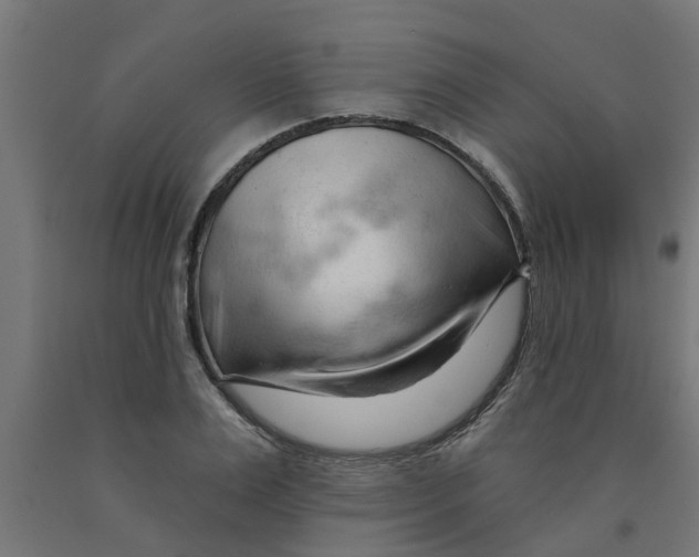 X0000090890983200708241958