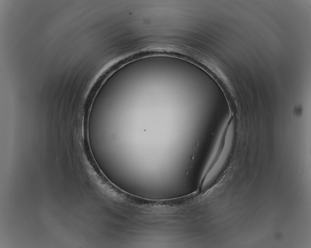 X0000090890984200708241958