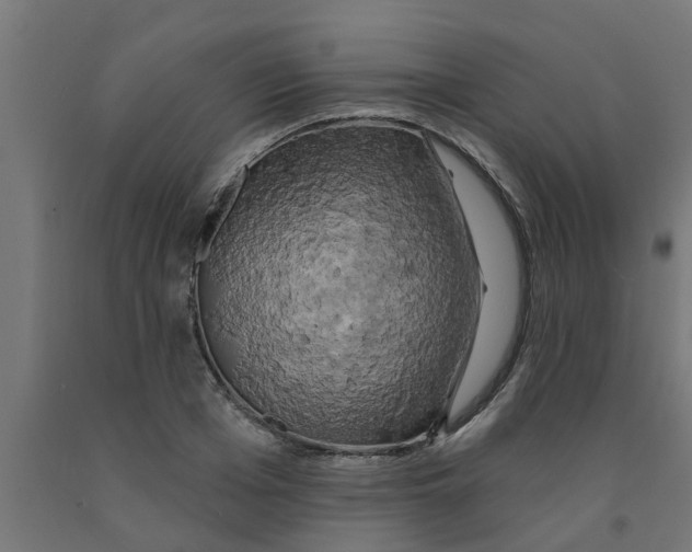 X0000090890985200708241958