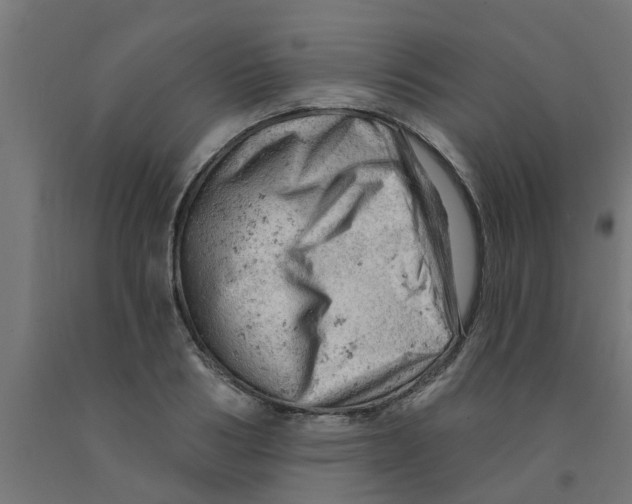 X0000090890986200708241958