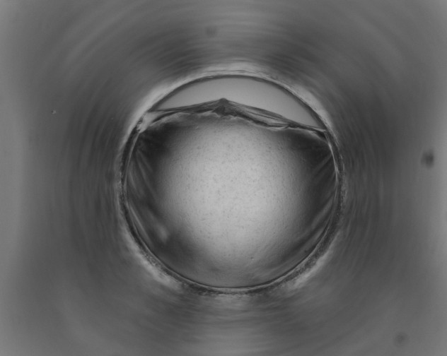 X0000090890989200708241958