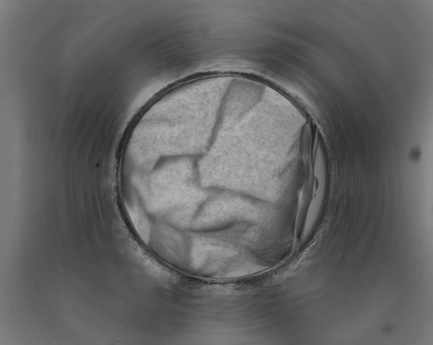 X0000090890990200708241958