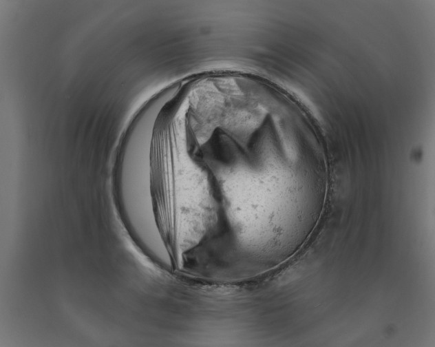 X0000090890991200708241958