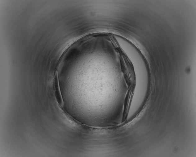 X0000090890993200708241958