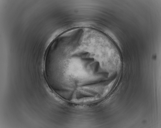 X0000090890994200708241958