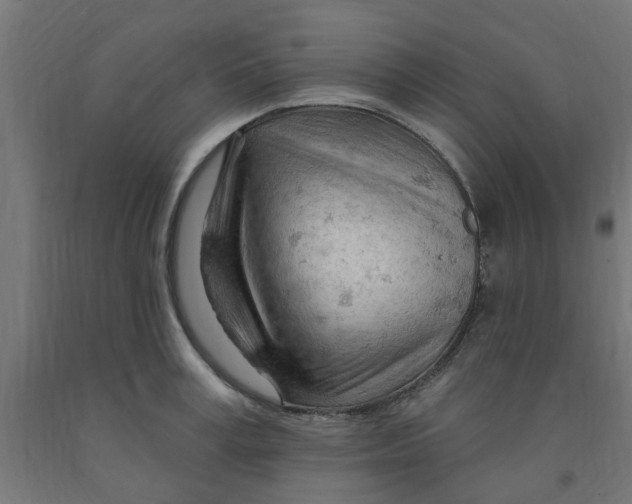 X0000090890995200708241958