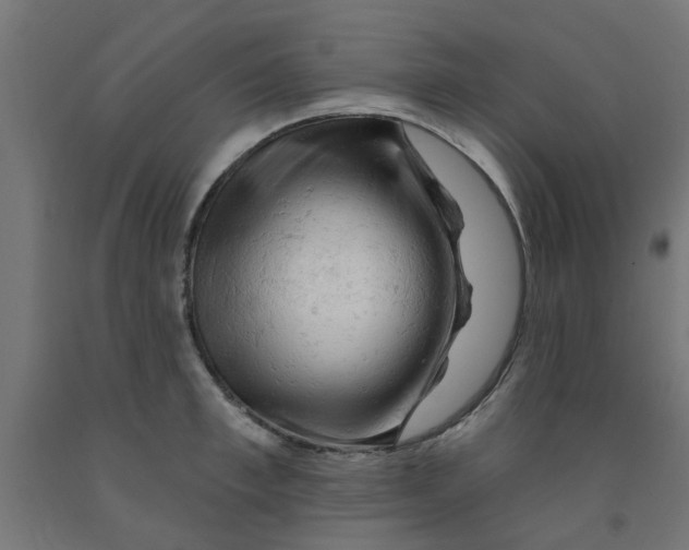 X0000090890997200708241958